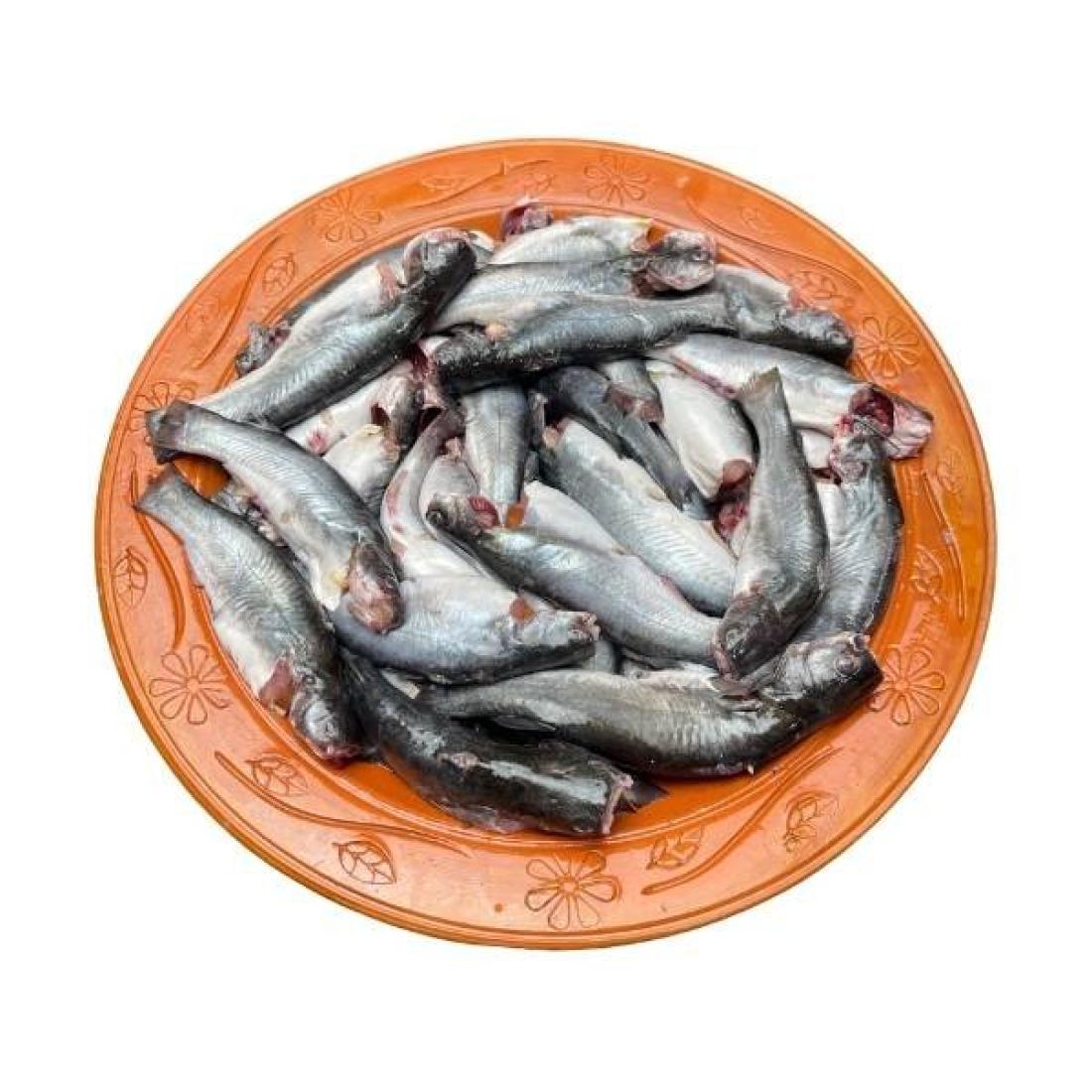 সাতক্ষীরার টেংরা